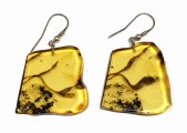 amb25e amberslabs 118